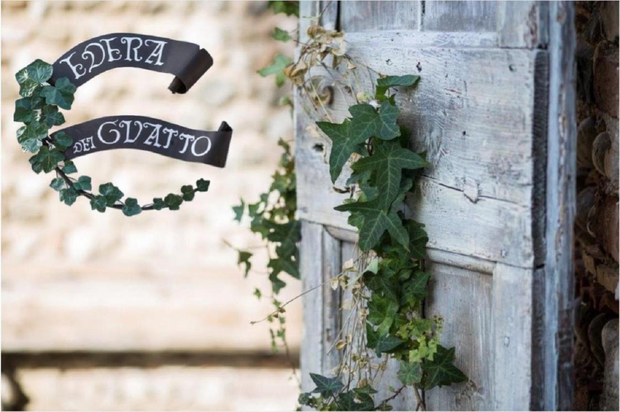 Edera Dei Guatto Bed & Breakfast Bertiolo ภายนอก รูปภาพ